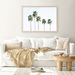 Shop Row Of Palms Photo Art Print a coastal themed photography wall art print from The Print Emporium wall artwork collection - Buy Australian made fine art poster and framed prints for the home and your interior decor, TPE-1248-AP