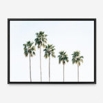 Shop Row Of Palms Photo Canvas Print a coastal themed photography framed stretched canvas print from The Print Emporium wall artwork collection - Buy Australian made prints for the home and your interior decor space, TPE-1248-CA-35X46-NF