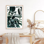 Shop Rubber Plant Art Print a painted style wall art print from The Print Emporium wall artwork collection - Buy Australian made fine art painting style poster and framed prints for the home and your interior decor room, TPE-009-AP