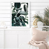 Shop Rubber Plant Art Print a painted style wall art print from The Print Emporium wall artwork collection - Buy Australian made fine art painting style poster and framed prints for the home and your interior decor room, TPE-009-AP