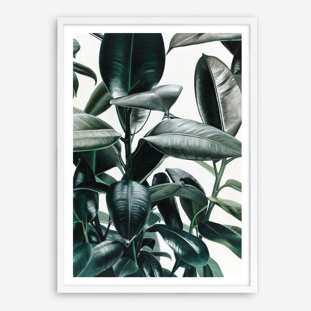 Shop Rubber Plant Art Print a painted style wall art print from The Print Emporium wall artwork collection - Buy Australian made fine art painting style poster and framed prints for the home and your interior decor room, TPE-009-AP