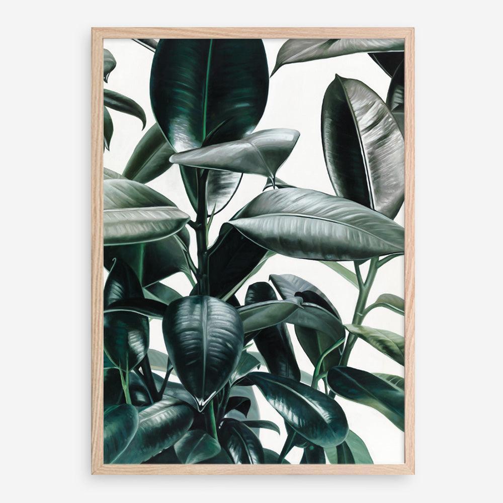 rubber tree painting Buy Rubber Plant Art Print