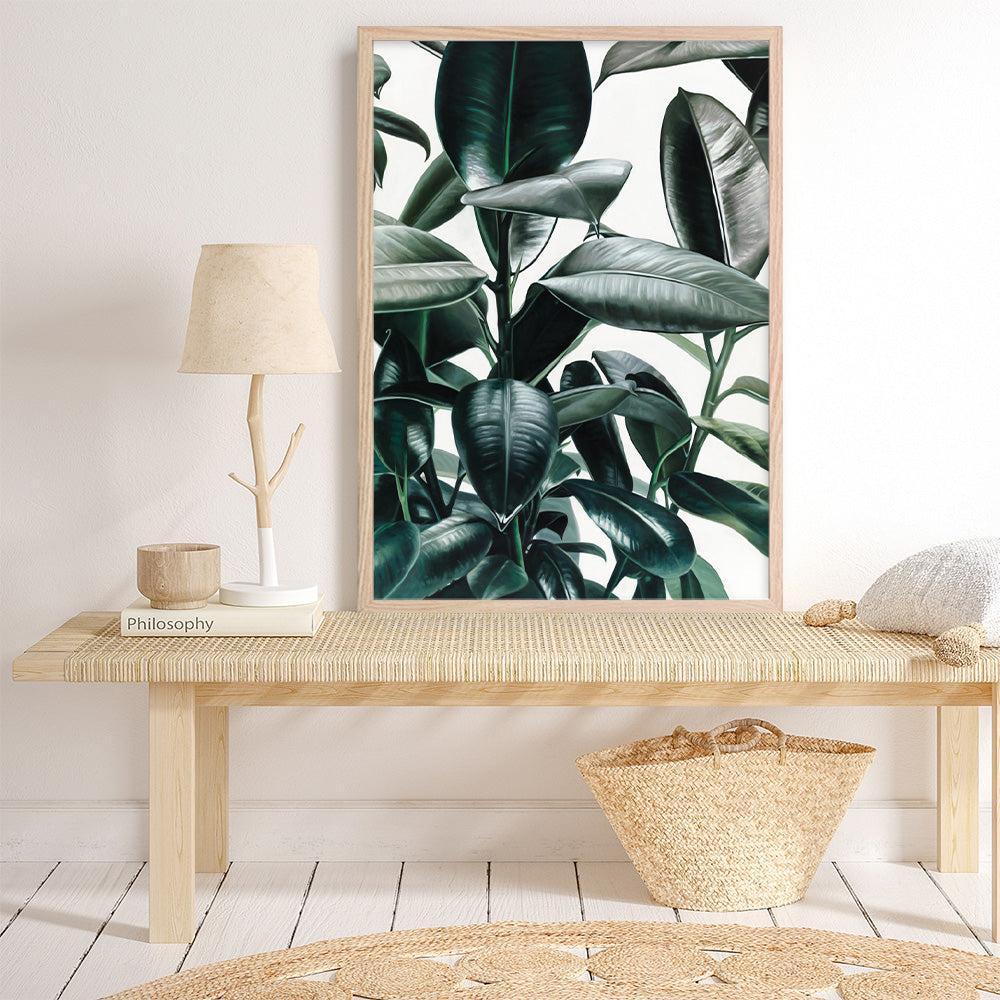 Shop Rubber Plant Art Print a painted style wall art print from The Print Emporium wall artwork collection - Buy Australian made fine art painting style poster and framed prints for the home and your interior decor room, TPE-009-AP
