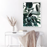 Shop Rubber Plant Art Print a painted style wall art print from The Print Emporium wall artwork collection - Buy Australian made fine art painting style poster and framed prints for the home and your interior decor room, TPE-009-AP
