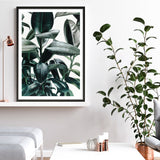 Shop Rubber Plant Art Print a painted style wall art print from The Print Emporium wall artwork collection - Buy Australian made fine art painting style poster and framed prints for the home and your interior decor room, TPE-009-AP