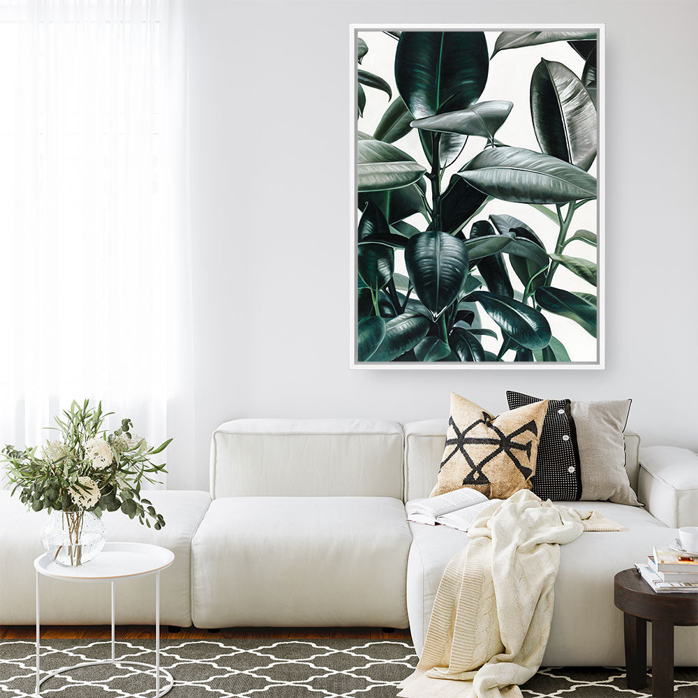 Shop Rubber Plant Canvas Print a painted style framed canvas wall art print from The Print Emporium artwork collection - Buy Australian made fine art painting style stretched canvas prints for the home and your interior decor space, TPE-009-CA-35X46-NF