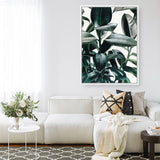 Shop Rubber Plant Canvas Print a painted style framed canvas wall art print from The Print Emporium artwork collection - Buy Australian made fine art painting style stretched canvas prints for the home and your interior decor space, TPE-009-CA-35X46-NF