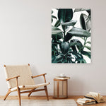 Shop Rubber Plant Canvas Print a painted style framed canvas wall art print from The Print Emporium artwork collection - Buy Australian made fine art painting style stretched canvas prints for the home and your interior decor space, TPE-009-CA-35X46-NF