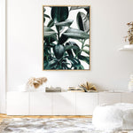 Shop Rubber Plant Canvas Print a painted style framed canvas wall art print from The Print Emporium artwork collection - Buy Australian made fine art painting style stretched canvas prints for the home and your interior decor space, TPE-009-CA-35X46-NF