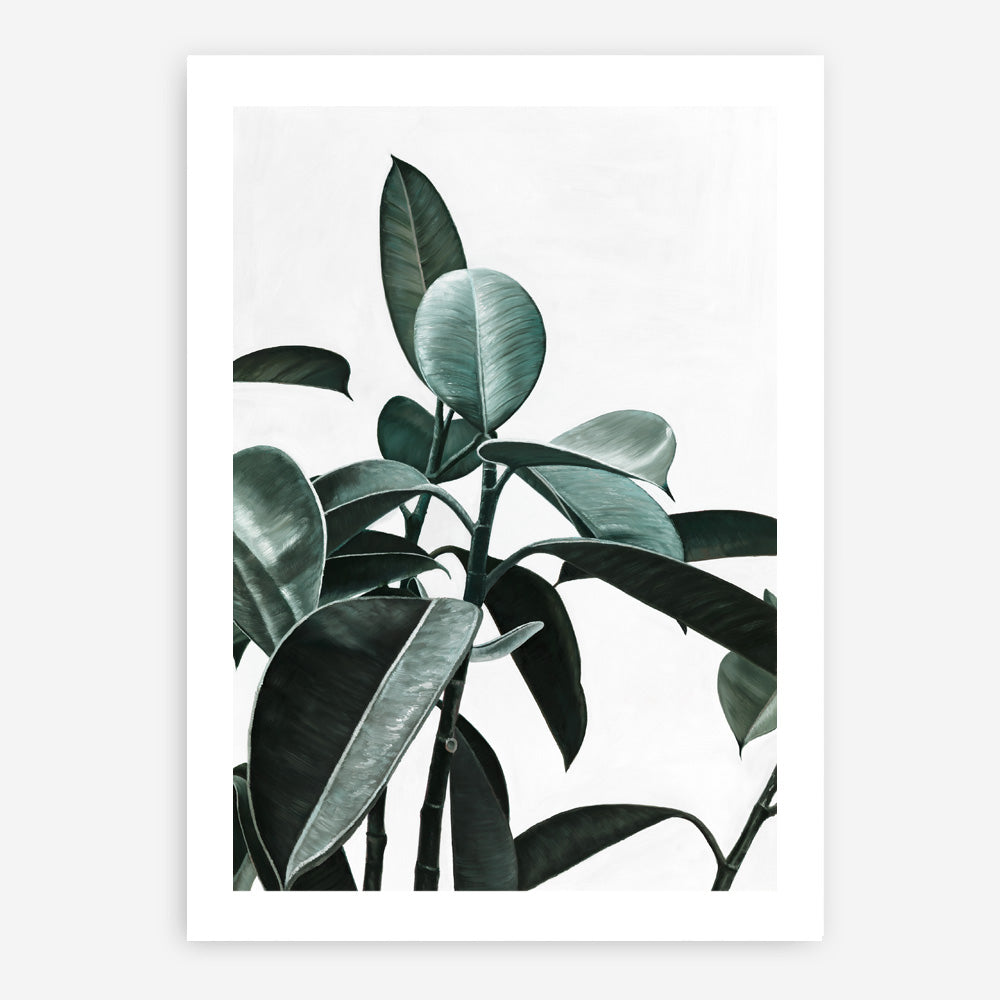 Shop Rubber Plant II Art Print a painted style wall art print from The Print Emporium wall artwork collection - Buy Australian made fine art painting style poster and framed prints for the home and your interior decor room, TPE-670-AP
