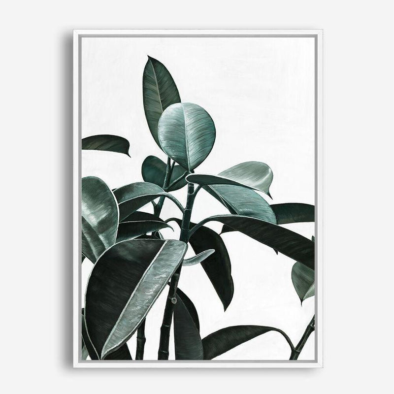 Shop Rubber Plant II Canvas Print a painted style framed canvas wall art print from The Print Emporium artwork collection - Buy Australian made fine art painting style stretched canvas prints for the home and your interior decor space, TPE-670-CA-35X46-NF