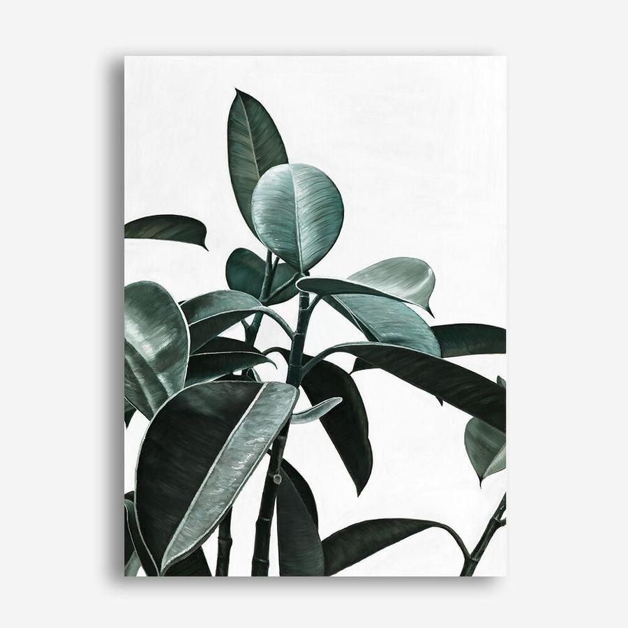 Shop Rubber Plant II Canvas Print a painted style framed canvas wall art print from The Print Emporium artwork collection - Buy Australian made fine art painting style stretched canvas prints for the home and your interior decor space, TPE-670-CA-35X46-NF