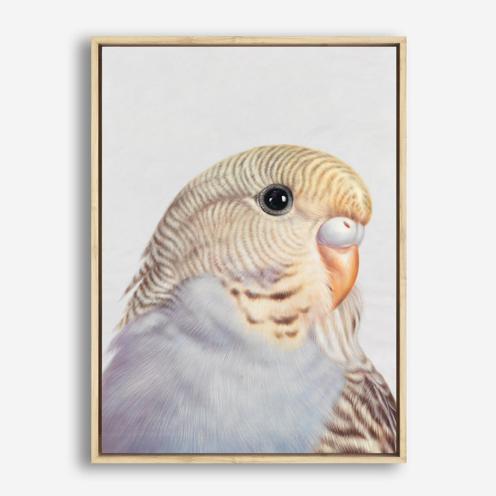 Shop Sammy The Budgerigar Canvas Print a painted bird themed framed canvas wall art print from The Print Emporium artwork collection - Buy Australian made fine art painting style stretched canvas prints for the home and your interior decor space, TPE-462-CA-35X46-NF