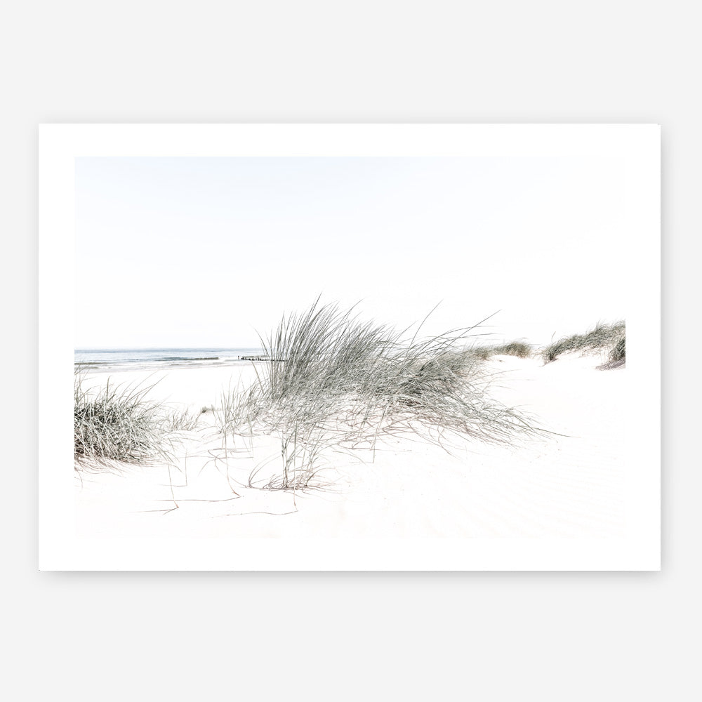 Shop Sand Dunes I Photo Art Print a coastal themed photography wall art print from The Print Emporium wall artwork collection - Buy Australian made fine art poster and framed prints for the home and your interior decor, TPE-797-AP