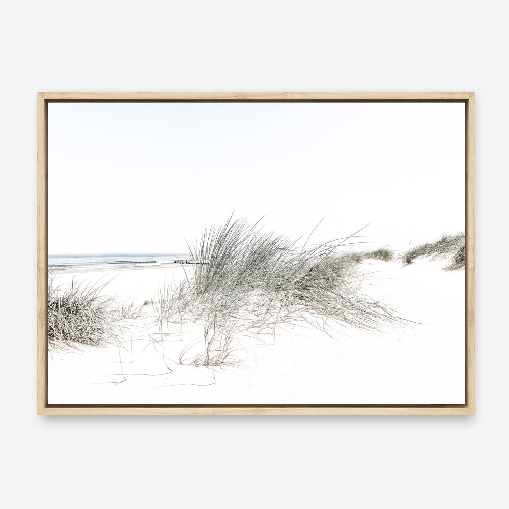 Shop Sand Dunes I Photo Canvas Print a coastal themed photography framed stretched canvas print from The Print Emporium wall artwork collection - Buy Australian made prints for the home and your interior decor space, TPE-797-CA-35X46-NF