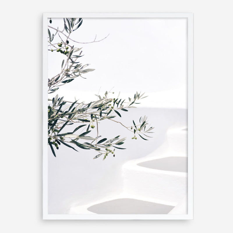 Shop Santorini Olive Branch Photo Art Print a coastal themed photography wall art print from The Print Emporium wall artwork collection - Buy Australian made fine art poster and framed prints for the home and your interior decor, TPE-1279-AP