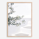Shop Santorini Olive Branch Photo Art Print a coastal themed photography wall art print from The Print Emporium wall artwork collection - Buy Australian made fine art poster and framed prints for the home and your interior decor, TPE-1279-AP