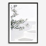 Buy Santorini Olive Branch Photo Art Print | The Print Emporium®