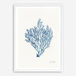 Shop Sea Garden II Royal Blue Art Print a coastal themed painted wall art print from The Print Emporium wall artwork collection - Buy Australian made fine art painting style poster and framed prints for the home and your interior decor room, TPE-WA-63919-AP