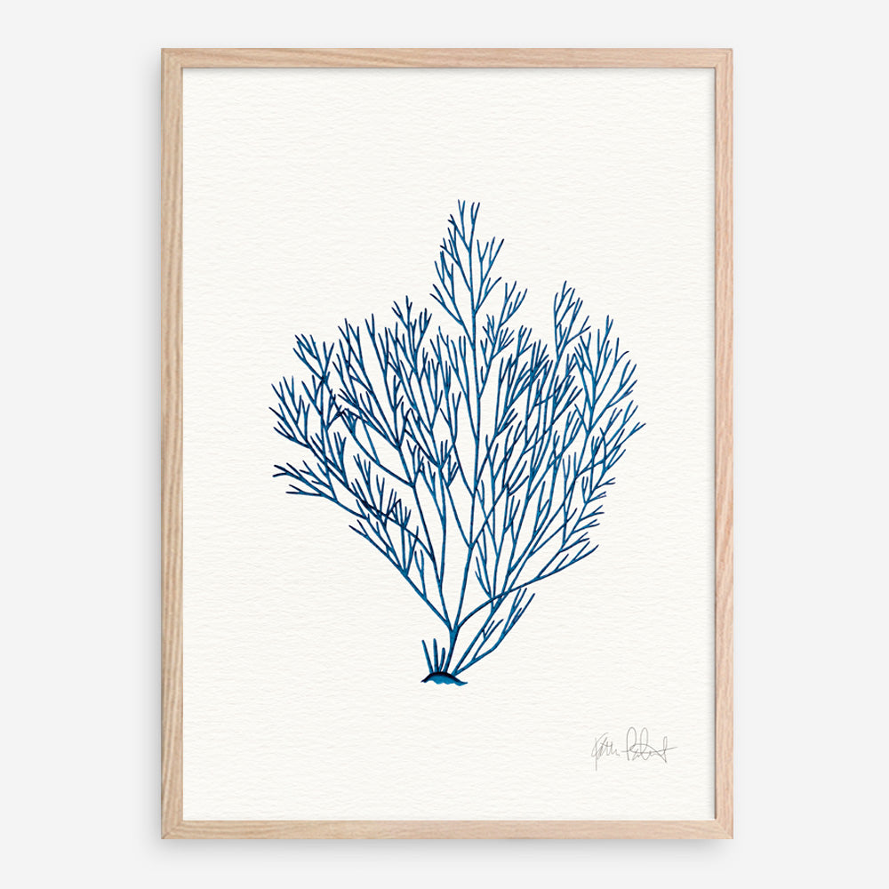 Shop Sea Garden II Royal Blue Art Print a coastal themed painted wall art print from The Print Emporium wall artwork collection - Buy Australian made fine art painting style poster and framed prints for the home and your interior decor room, TPE-WA-63919-AP