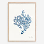 Shop Sea Garden II Royal Blue Art Print a coastal themed painted wall art print from The Print Emporium wall artwork collection - Buy Australian made fine art painting style poster and framed prints for the home and your interior decor room, TPE-WA-63919-AP