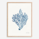 Shop Sea Garden II Royal Blue Art Print a coastal themed painted wall art print from The Print Emporium wall artwork collection - Buy Australian made fine art painting style poster and framed prints for the home and your interior decor room, TPE-WA-63919-AP