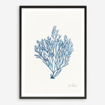 Shop Sea Garden II Royal Blue Art Print a coastal themed painted wall art print from The Print Emporium wall artwork collection - Buy Australian made fine art painting style poster and framed prints for the home and your interior decor room, TPE-WA-63919-AP