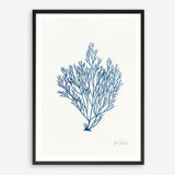 Shop Sea Garden II Royal Blue Art Print a coastal themed painted wall art print from The Print Emporium wall artwork collection - Buy Australian made fine art painting style poster and framed prints for the home and your interior decor room, TPE-WA-63919-AP