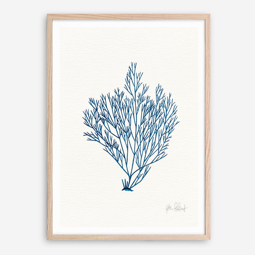 Shop Sea Garden II Royal Blue Art Print a coastal themed painted wall art print from The Print Emporium wall artwork collection - Buy Australian made fine art painting style poster and framed prints for the home and your interior decor room, TPE-WA-63919-AP