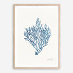 Shop Sea Garden II Royal Blue Art Print a coastal themed painted wall art print from The Print Emporium wall artwork collection - Buy Australian made fine art painting style poster and framed prints for the home and your interior decor room, TPE-WA-63919-AP