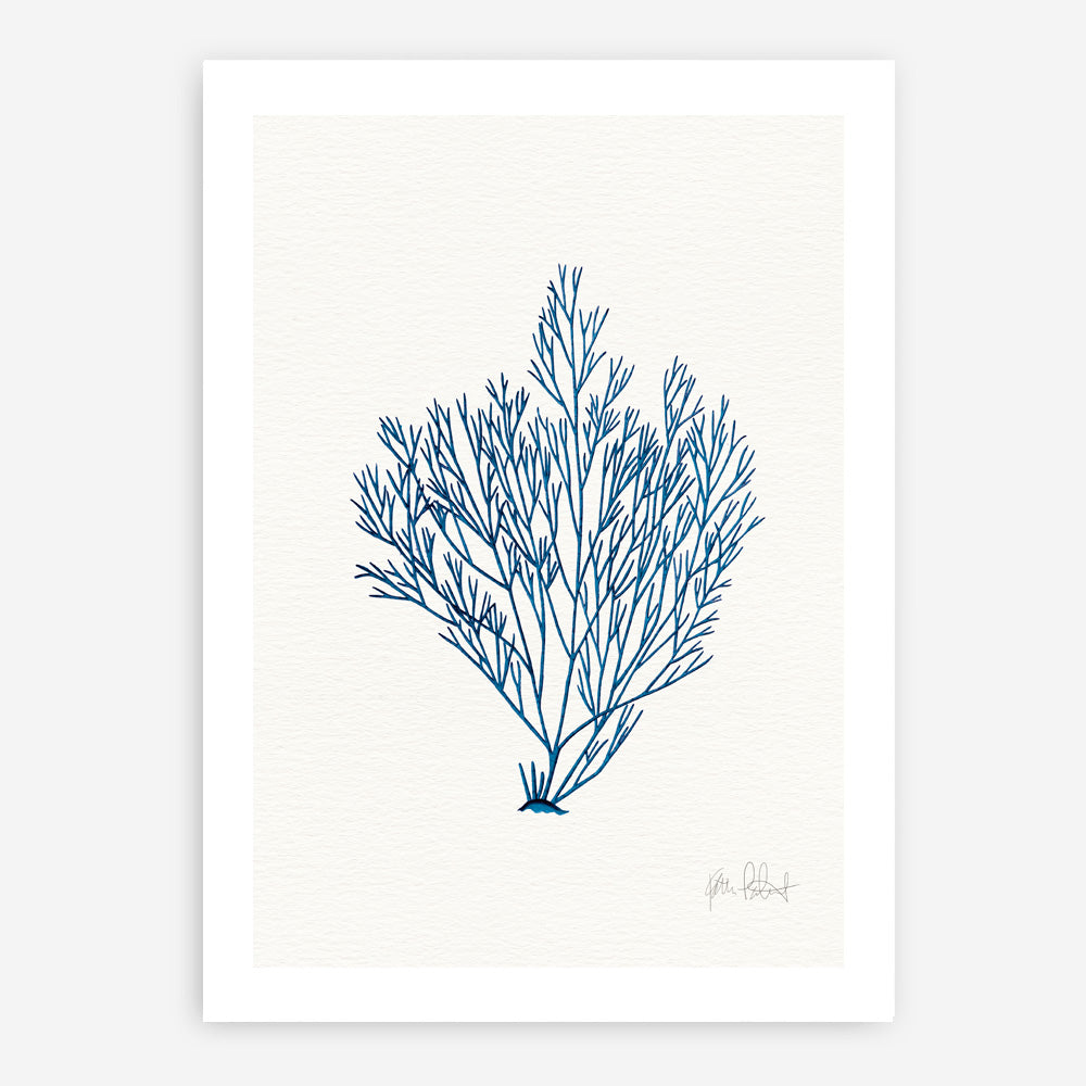 Shop Sea Garden II Royal Blue Art Print a coastal themed painted wall art print from The Print Emporium wall artwork collection - Buy Australian made fine art painting style poster and framed prints for the home and your interior decor room, TPE-WA-63919-AP