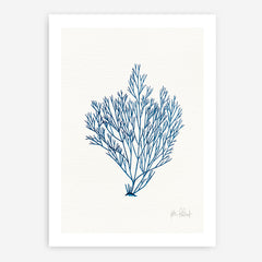 Shop Sea Garden II Royal Blue Art Print a coastal themed painted wall art print from The Print Emporium wall artwork collection - Buy Australian made fine art painting style poster and framed prints for the home and your interior decor room, TPE-WA-63919-AP