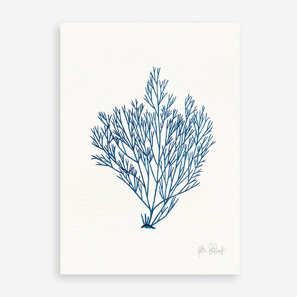 Shop Sea Garden II Royal Blue Art Print a coastal themed painted wall art print from The Print Emporium wall artwork collection - Buy Australian made fine art painting style poster and framed prints for the home and your interior decor room, TPE-WA-63919-AP