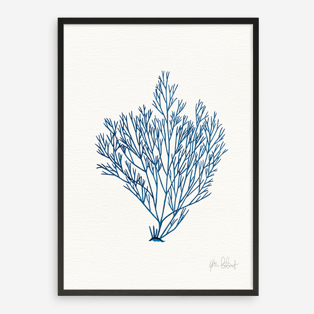 Shop Sea Garden II Royal Blue Art Print a coastal themed painted wall art print from The Print Emporium wall artwork collection - Buy Australian made fine art painting style poster and framed prints for the home and your interior decor room, TPE-WA-63919-AP