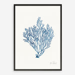 Shop Sea Garden II Royal Blue Art Print a coastal themed painted wall art print from The Print Emporium wall artwork collection - Buy Australian made fine art painting style poster and framed prints for the home and your interior decor room, TPE-WA-63919-AP