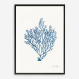 Shop Sea Garden II Royal Blue Art Print a coastal themed painted wall art print from The Print Emporium wall artwork collection - Buy Australian made fine art painting style poster and framed prints for the home and your interior decor room, TPE-WA-63919-AP