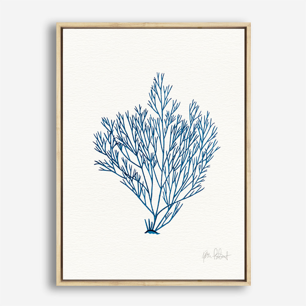 Shop Sea Garden II Royal Blue Canvas Print a painted style framed canvas wall art print from The Print Emporium artwork collection - Buy Australian made fine art painting style stretched canvas prints for the home and your interior decor space, TPE-WA-63919-CA-35X46-NF