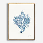 Shop Sea Garden II Royal Blue Canvas Print a painted style framed canvas wall art print from The Print Emporium artwork collection - Buy Australian made fine art painting style stretched canvas prints for the home and your interior decor space, TPE-WA-63919-CA-35X46-NF