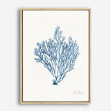 Shop Sea Garden II Royal Blue Canvas Print a painted style framed canvas wall art print from The Print Emporium artwork collection - Buy Australian made fine art painting style stretched canvas prints for the home and your interior decor space, TPE-WA-63919-CA-35X46-NF