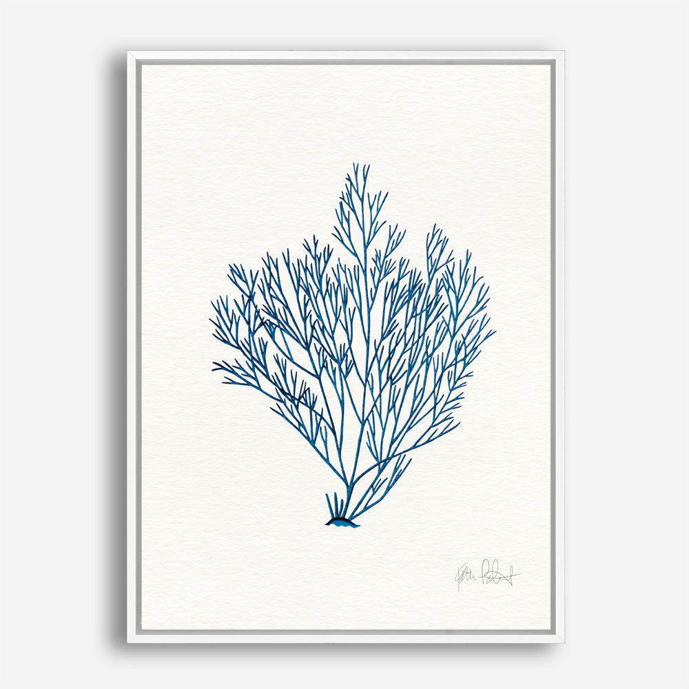 Shop Sea Garden II Royal Blue Canvas Print a painted style framed canvas wall art print from The Print Emporium artwork collection - Buy Australian made fine art painting style stretched canvas prints for the home and your interior decor space, TPE-WA-63919-CA-35X46-NF