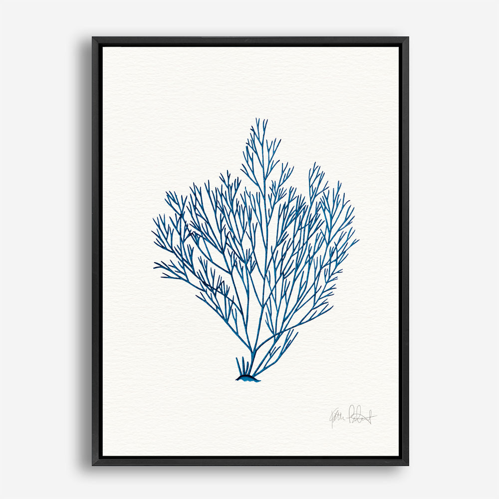 Shop Sea Garden II Royal Blue Canvas Print a painted style framed canvas wall art print from The Print Emporium artwork collection - Buy Australian made fine art painting style stretched canvas prints for the home and your interior decor space, TPE-WA-63919-CA-35X46-NF