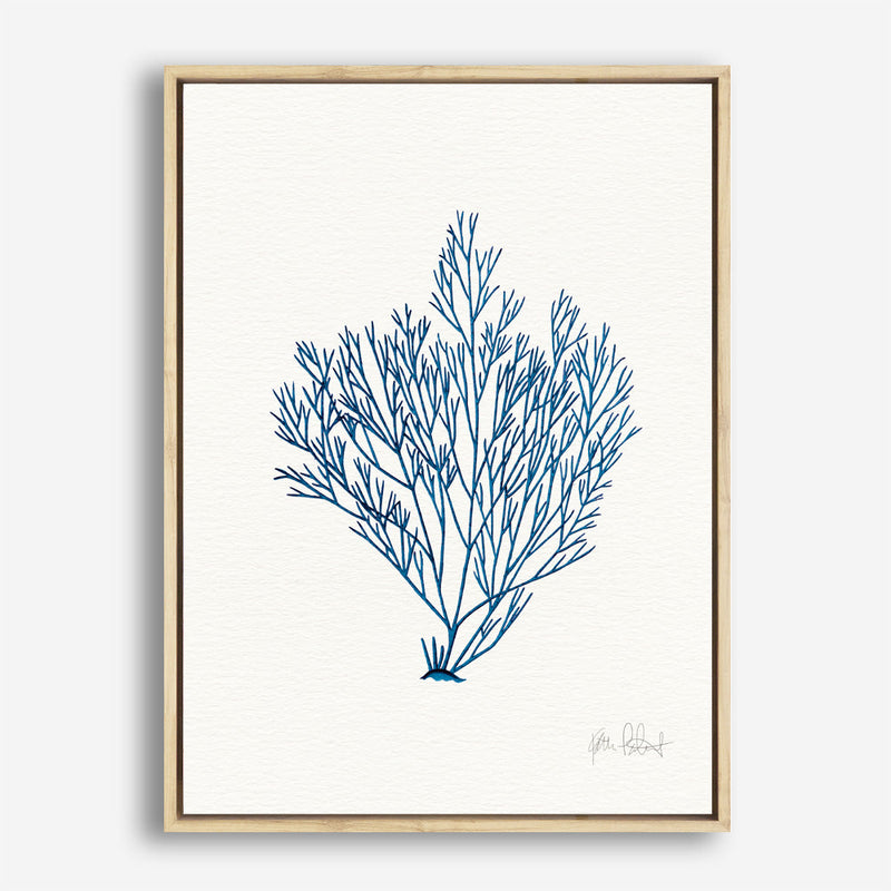 Shop Sea Garden II Royal Blue Canvas Print a painted style framed canvas wall art print from The Print Emporium artwork collection - Buy Australian made fine art painting style stretched canvas prints for the home and your interior decor space, TPE-WA-63919-CA-35X46-NF