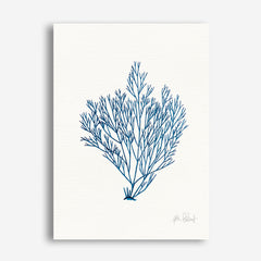Shop Sea Garden II Royal Blue Canvas Print a painted style framed canvas wall art print from The Print Emporium artwork collection - Buy Australian made fine art painting style stretched canvas prints for the home and your interior decor space, TPE-WA-63919-CA-35X46-NF