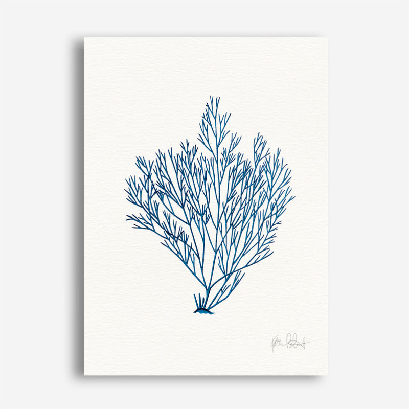 Shop Sea Garden II Royal Blue Canvas Print a painted style framed canvas wall art print from The Print Emporium artwork collection - Buy Australian made fine art painting style stretched canvas prints for the home and your interior decor space, TPE-WA-63919-CA-35X46-NF