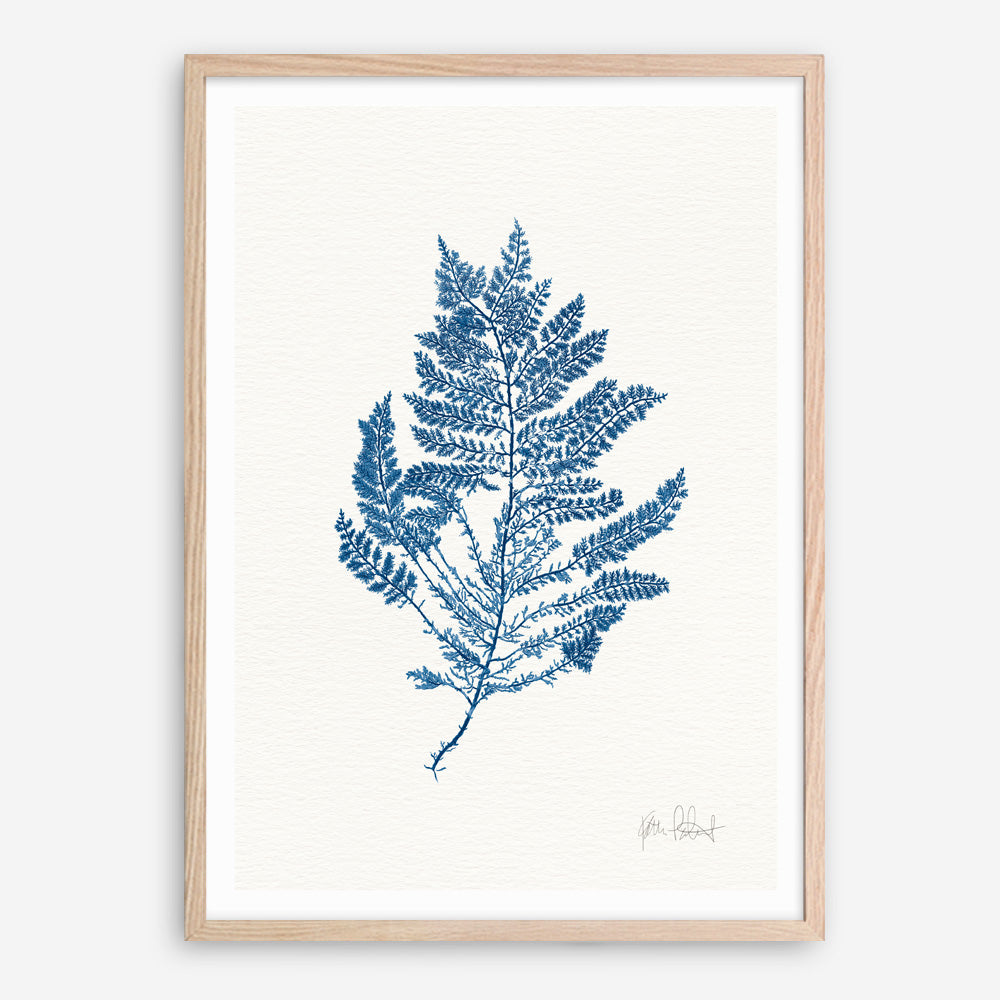 Shop Sea Garden III Royal Blue Art Print a coastal themed painted wall art print from The Print Emporium wall artwork collection - Buy Australian made fine art painting style poster and framed prints for the home and your interior decor room, TPE-WA-63920-AP