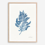 Shop Sea Garden III Royal Blue Art Print a coastal themed painted wall art print from The Print Emporium wall artwork collection - Buy Australian made fine art painting style poster and framed prints for the home and your interior decor room, TPE-WA-63920-AP