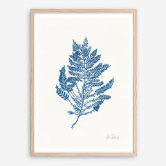 Shop Sea Garden III Royal Blue Art Print a coastal themed painted wall art print from The Print Emporium wall artwork collection - Buy Australian made fine art painting style poster and framed prints for the home and your interior decor room, TPE-WA-63920-AP
