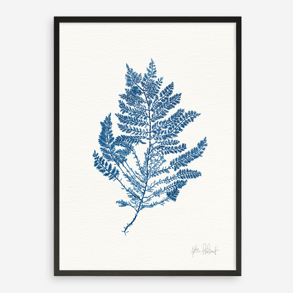 Shop Sea Garden III Royal Blue Art Print a coastal themed painted wall art print from The Print Emporium wall artwork collection - Buy Australian made fine art painting style poster and framed prints for the home and your interior decor room, TPE-WA-63920-AP