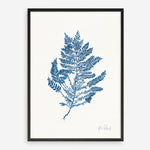 Shop Sea Garden III Royal Blue Art Print a coastal themed painted wall art print from The Print Emporium wall artwork collection - Buy Australian made fine art painting style poster and framed prints for the home and your interior decor room, TPE-WA-63920-AP