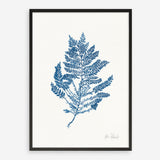 Shop Sea Garden III Royal Blue Art Print a coastal themed painted wall art print from The Print Emporium wall artwork collection - Buy Australian made fine art painting style poster and framed prints for the home and your interior decor room, TPE-WA-63920-AP